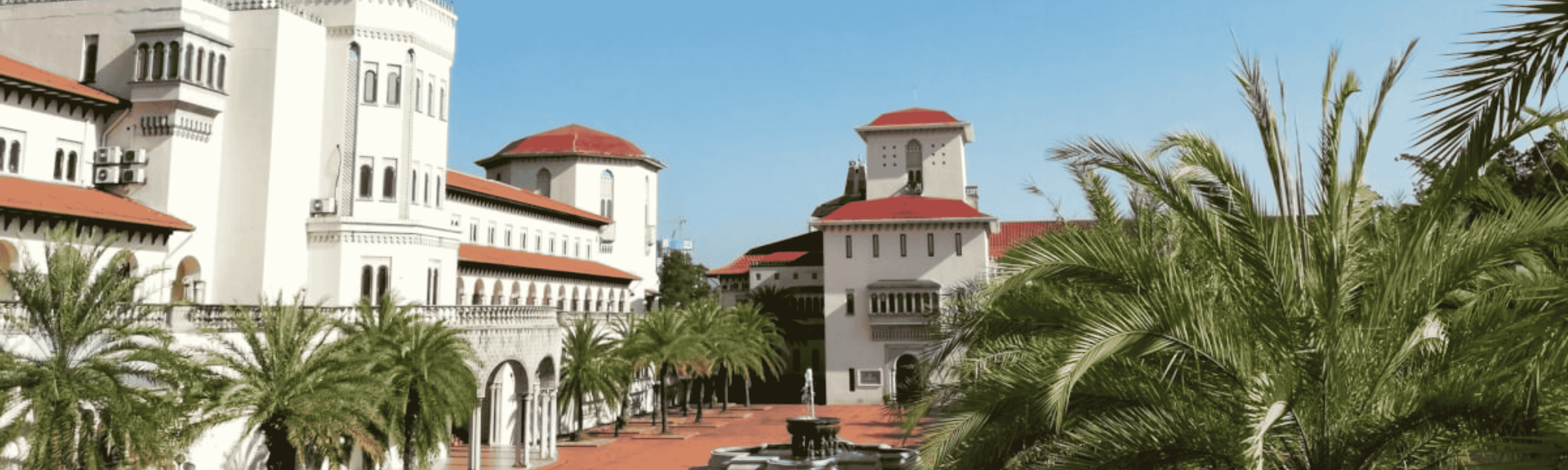 Wordpress Slides (6)